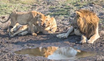 Katavi National Park