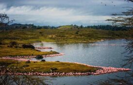 arusha momela lakes arusha momela lakes