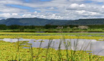 manyara (2) manyara (2)