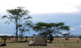 camping-1-2 camping-1-2