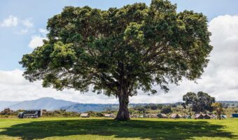 camping 1b camping 1b