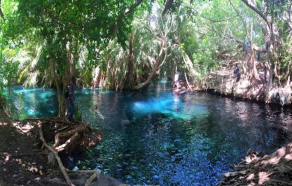 Kikuletwa Hot Volcanic Springs 1