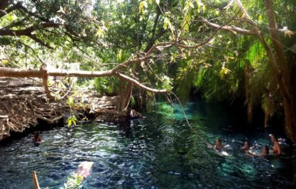 Kikuletwa Hot Volcanic Springs 2