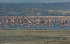 lake-natron-10[2]