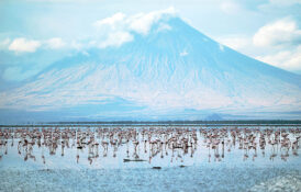 lake-natron-4