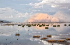 lake-natron-tanzania