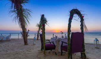 zanzibar 7 zanzibar 7